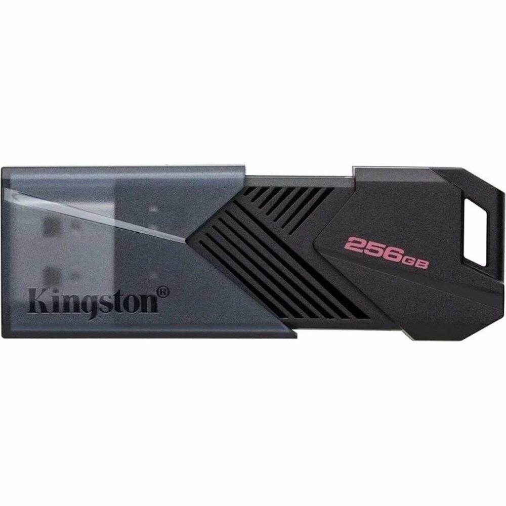 Memoria USB Kingston DTXON/256GB 256 GB Nero
