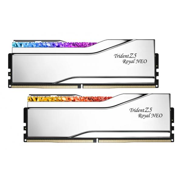 D596GB 6000-28 TZ5 Royal Neo Silver sr