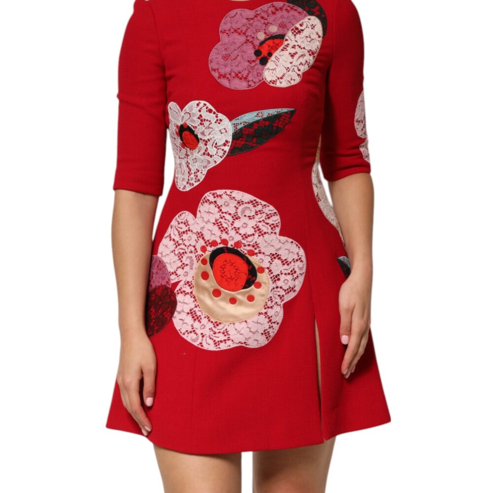 Red Lace Floral Applique A-line Mini Dress