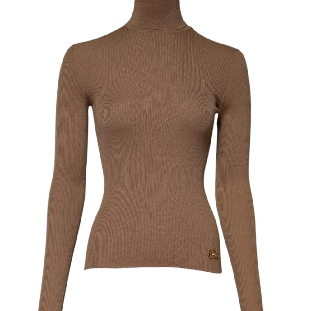 Brown Knit Long Sleeves Turtleneck Sweater